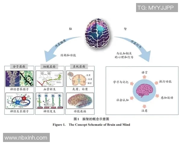 体育政策创新与发展：推动全民健身与竞技体育协调发展路径研究